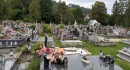 cache/resized/4d5fb427e56c952fe1257cd96a92928c.jpg