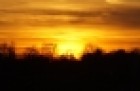 cache/resized/8db590f6edf45cac5d576ce6de9891ac.jpg