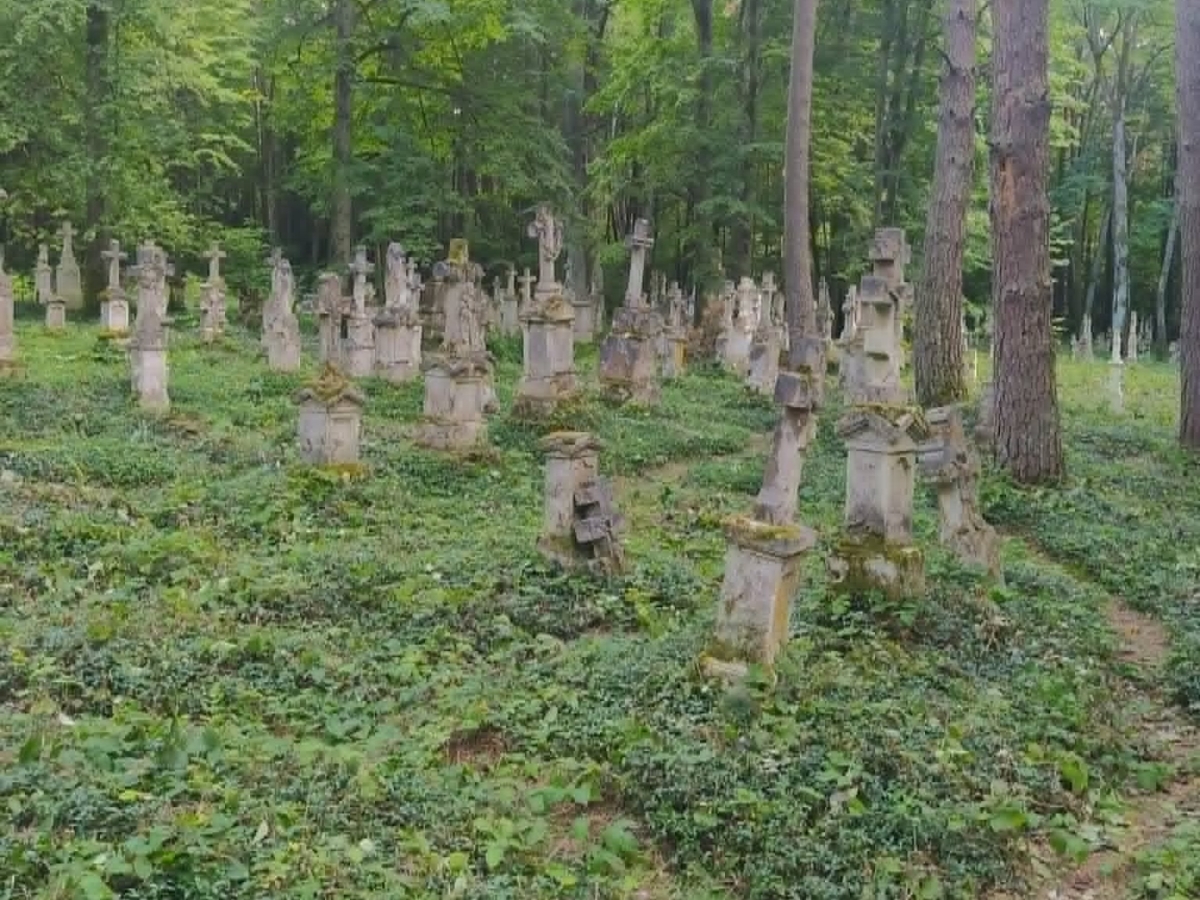 Cmentarz grekokatolicki, nieczynny, Polanka Horyniecka (Stare Brusno), gmina Horyniec-Zdrój [GALERIA]