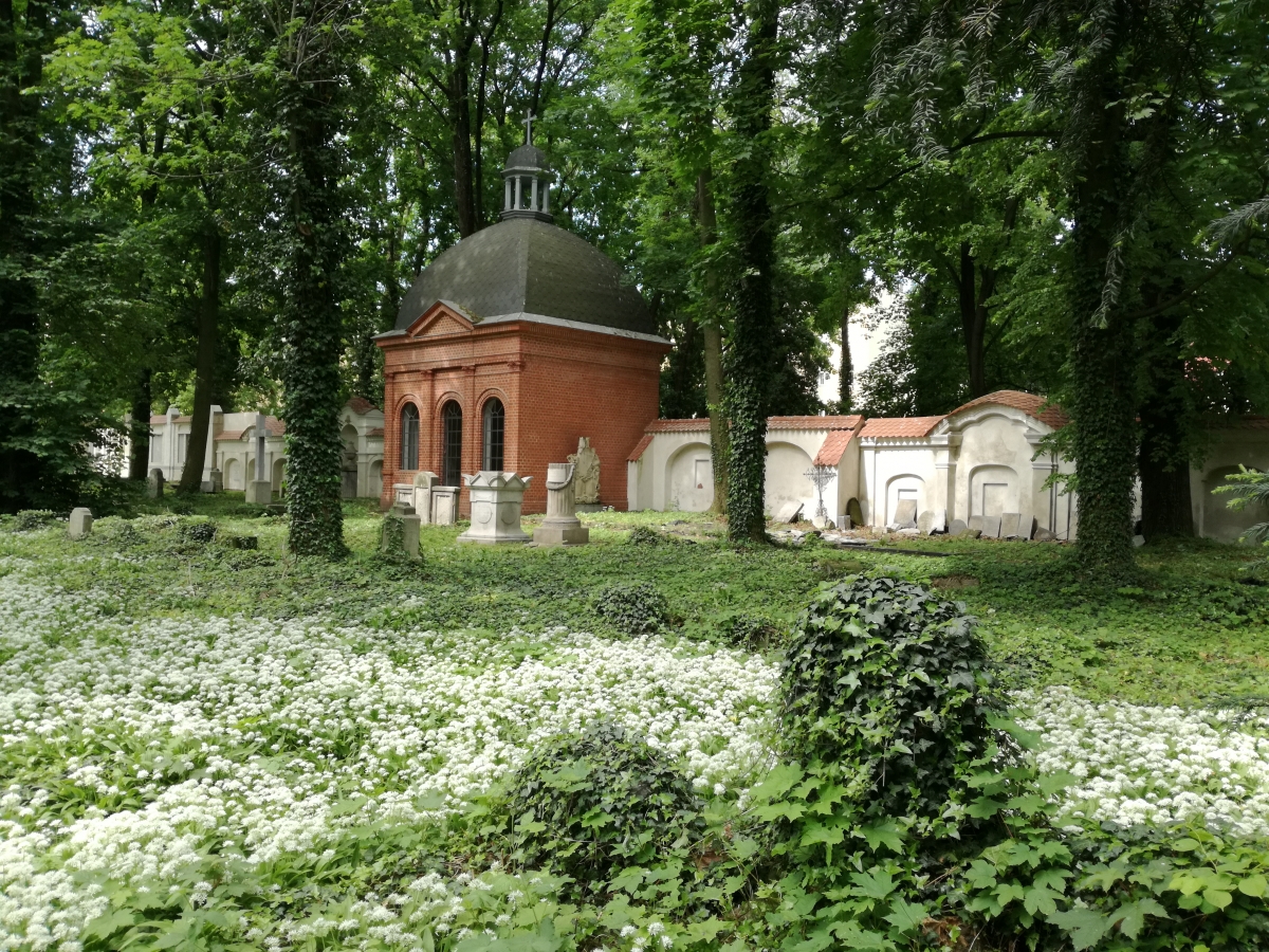 Cmentarz przy Kościele Pokoju, Świdnica