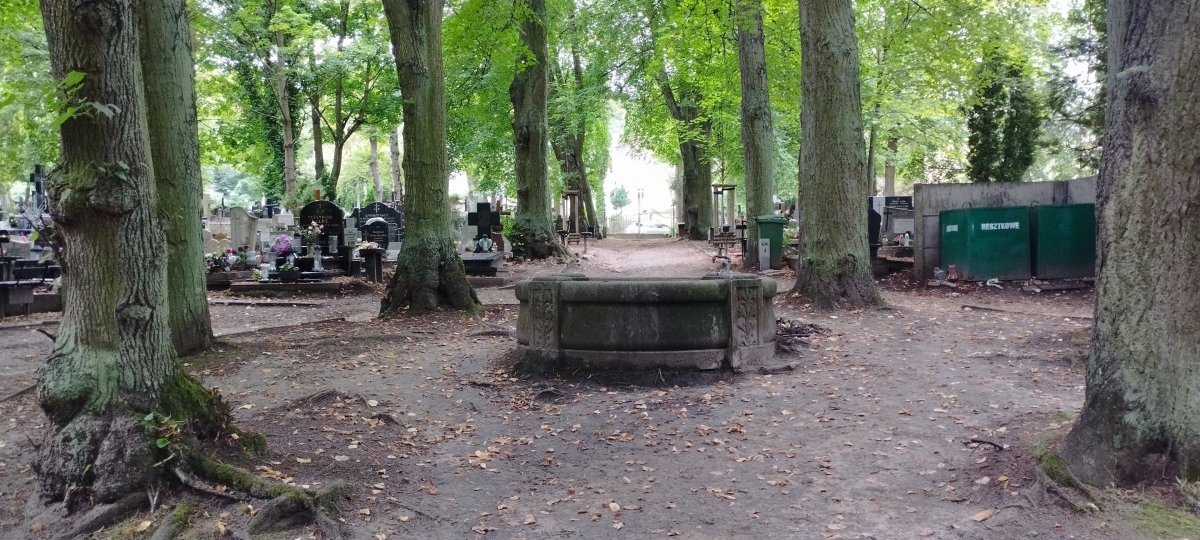 Cmentarz komunalny, Oliwa, Gdańsk [GALERIA]