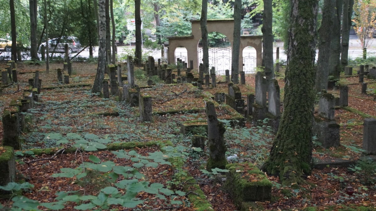 Cmentarz żydowski, nieczynny, Sopot [GALERIA]