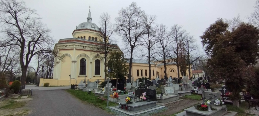 Cmentarz komunalny, ul. Wrocławska, Legnica [GALERIA]