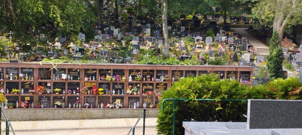 Cmentarz komunalny, ul. Witomińska, Witomino, Gdynia [GALERIA]