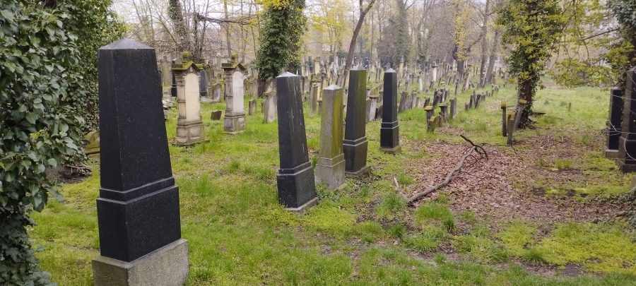 Cmentarz żydowski, ul. Wrocławska, Legnica [GALERIA]