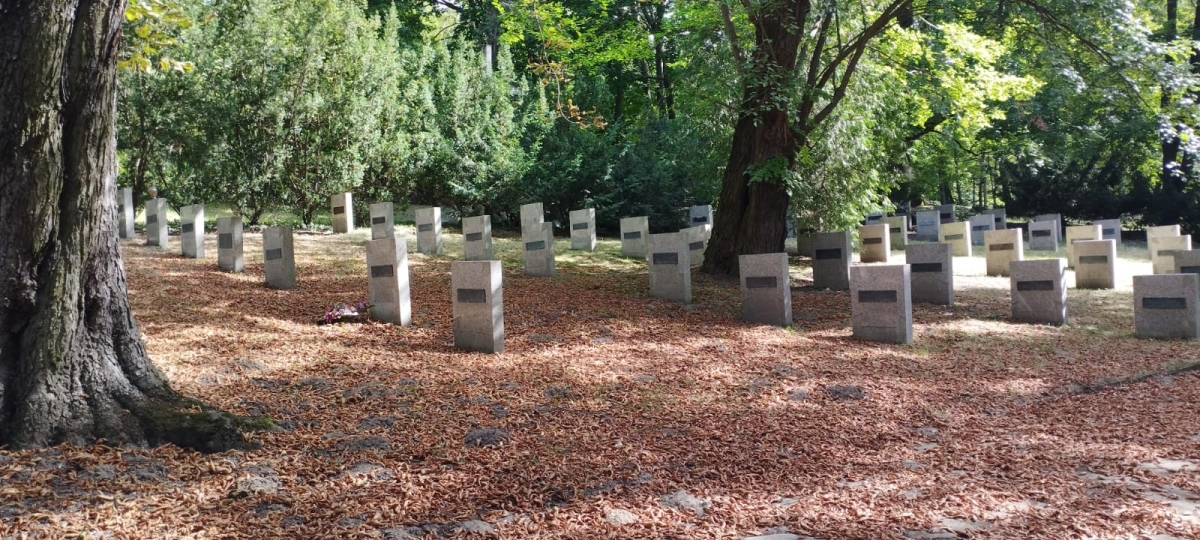 Cmentarz Lotników Polskich, Poznań