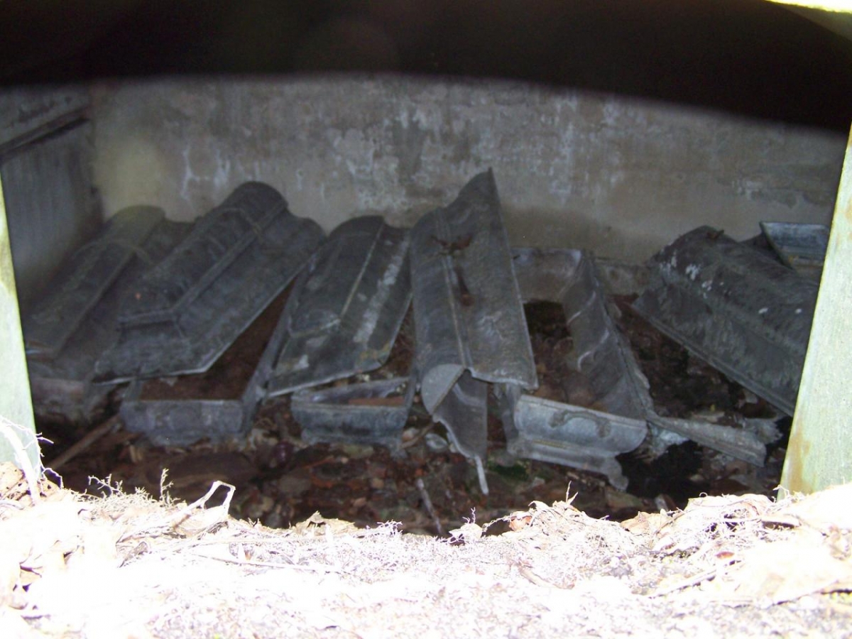 Cmentarz rodowy, Płonne, gmina Radomin