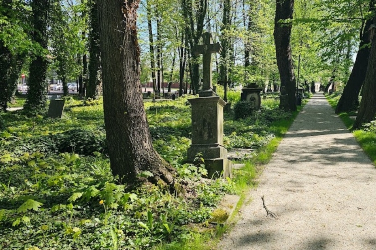 Stary Cmentarz, zabytkowy, ul. Klimka, Żory