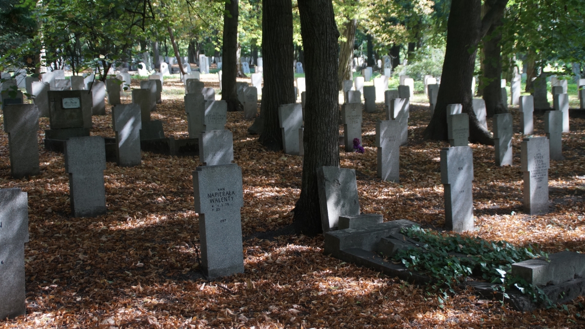 Cmentarz Garnizonowy, Cytadela, Poznań [GALERIA]