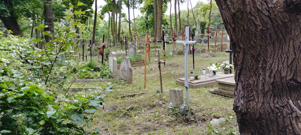 Cmentarz katolicki, nieczynny, Kolibki, Gdynia [GALERIA]