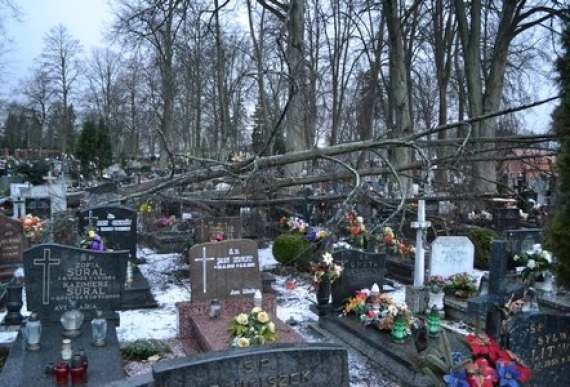 Z powodu orkanu "Grzegorz" zamykane są cmentarze