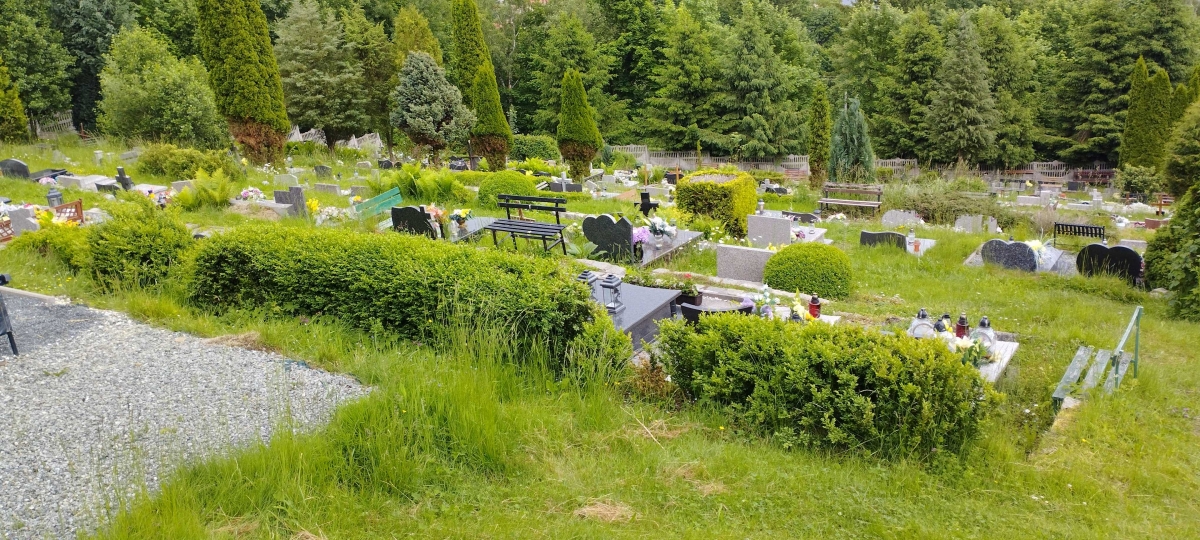 Cmentarz parafii św. Barbary, Walim