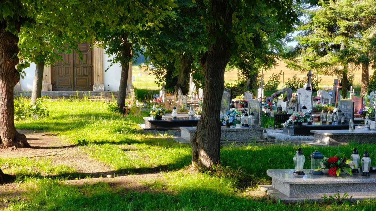 Cmentarz parafii Wniebowzięcia NMP, nieczynny, Wojanów, gmina Mysłakowice [GALERIA]