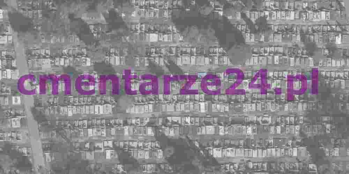 Cmentarz komunalny, Miasteczko Śląskie